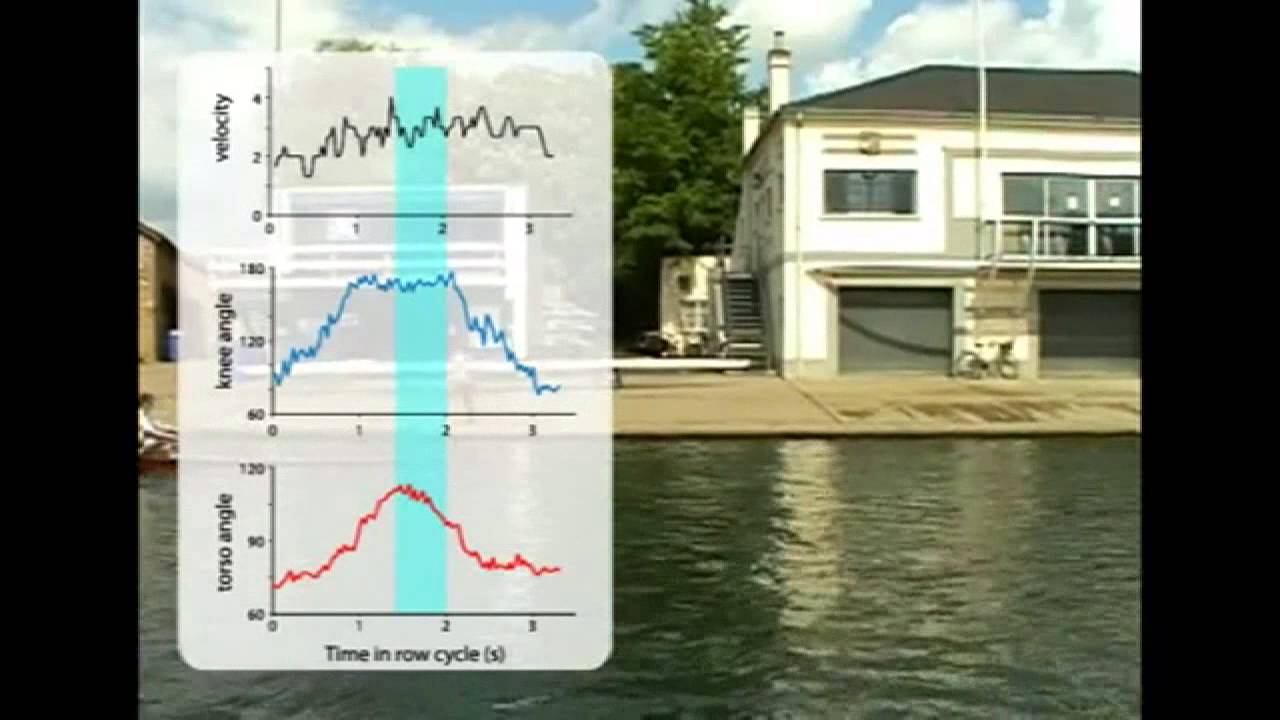 Physics of Life - Physics of Rowing
