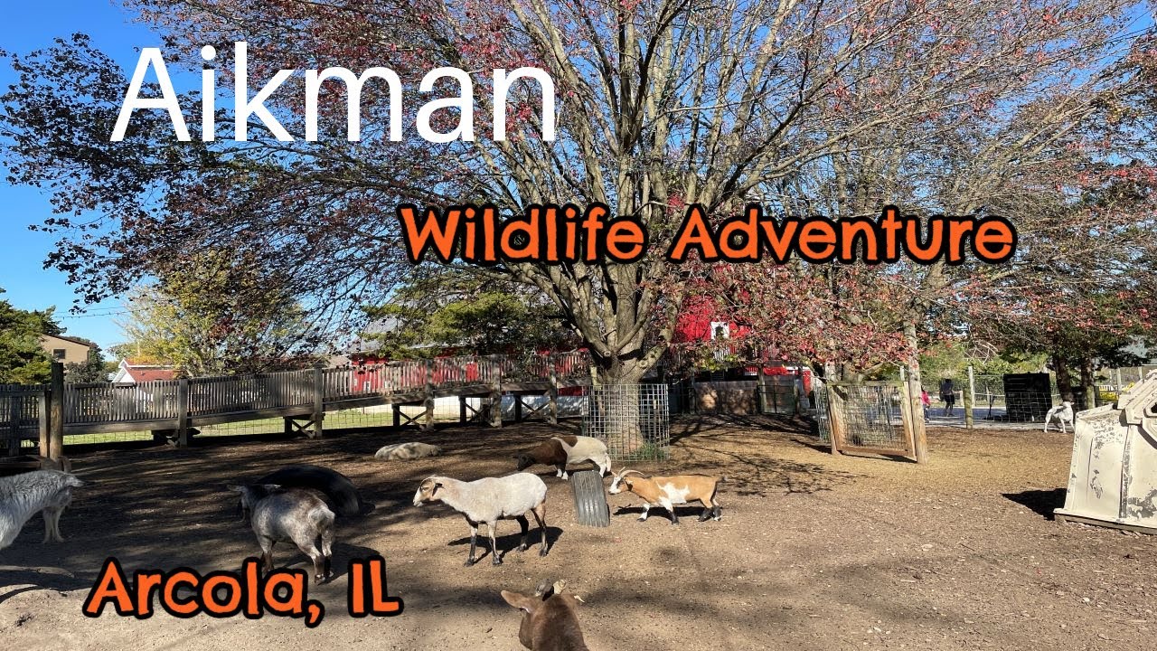 AIKMAN WILDLIFE ADVENTURE ARCOLA, IL Part 1