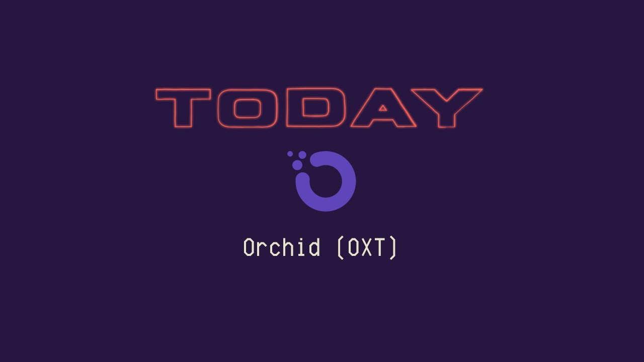 Orchid Review - What is Orchid, is it worth your time?