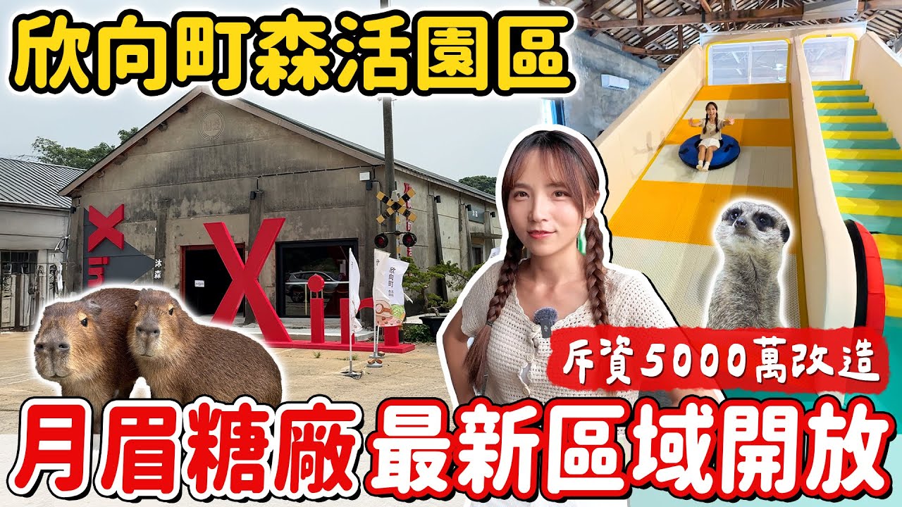 后里糖廠變身！全新開幕親子園區，還有呆萌水豚君和狐獴，搭小火車逛百年糖廠，全台唯一囪底隧道探險～｜Haven在台中