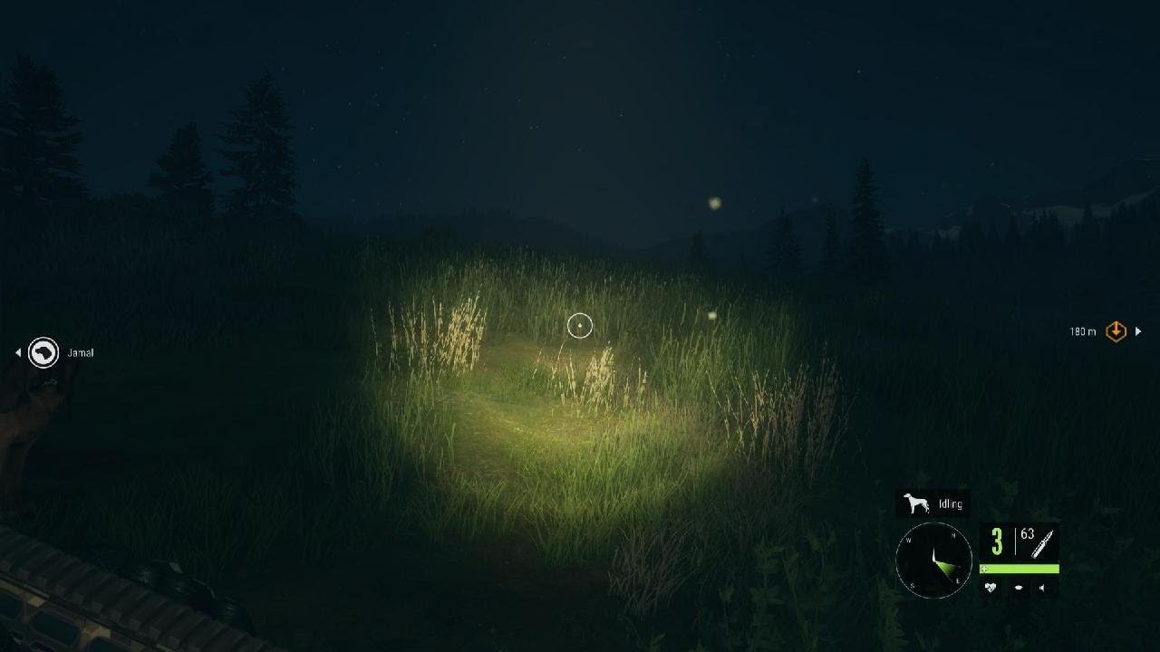 Hunter call of the wild shooting anything