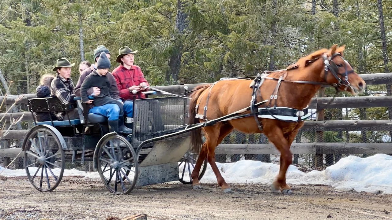 A Visit To our Amish Roots