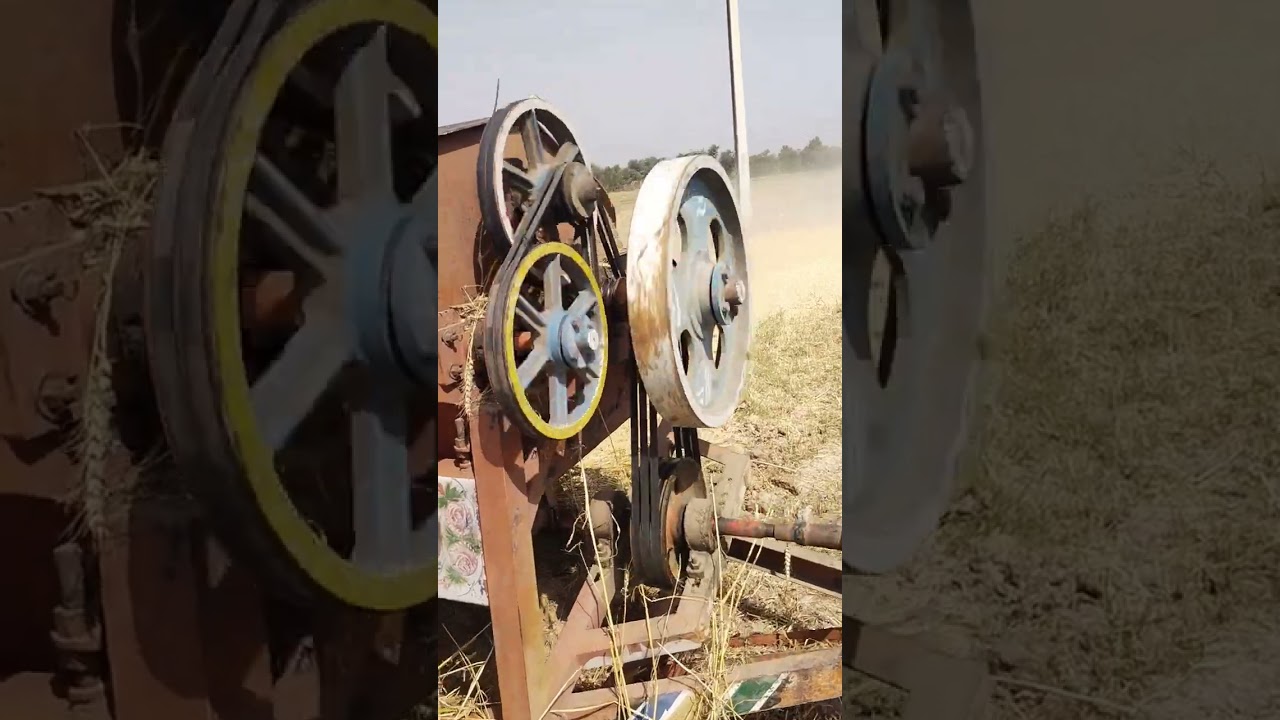 gandum ki katai |wheat harvesting in pakistan 2023 |wheat harvesting in pakistan|
