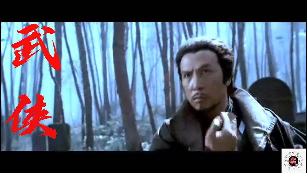 Donnie Yen fight scenes with killer 甄子丹与杀手打斗场面/锦衣卫