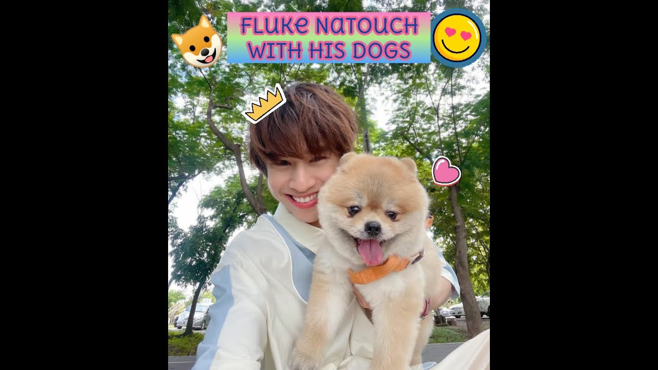 Fluke Natouch with His Dogs 😍 #Fluke_Natouch