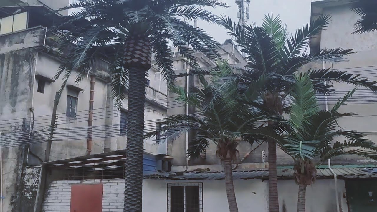 🌴How to Create a Customizable Large Artificial Coconut Palm Tree for Outdoor Luxury Villas & Hotels