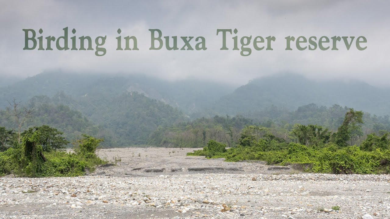 Birding in Buxa tiger reserve