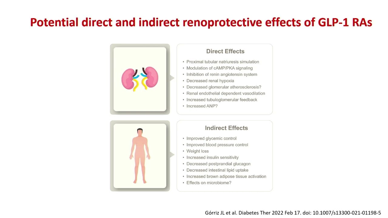 Nefroprotección: más allá de los IECAs/ARA2
