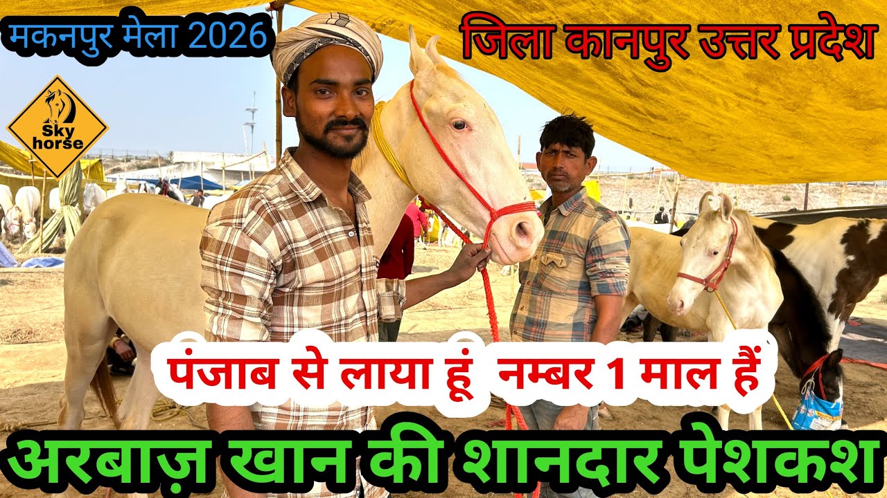 अरवाज़ भाई लाए शानदार नुकरे बच्चे पंजाब से मकनपुर मंडी में | #Makanpurmela2026