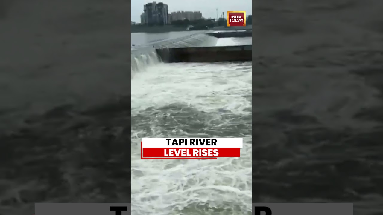 Tapi River Swells As Heavy Rain Batters Surat | IMD Issues Red Alert #shorts
