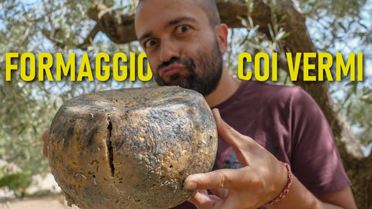 Proviamo il CASU MARZU, il formaggio sardo (illegale) coi VERMI - Ep. 14 🧀🐛
