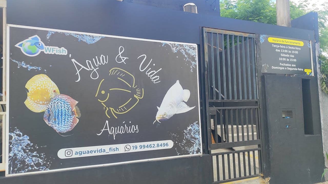 CONHEÇA NOSSA LOJA!