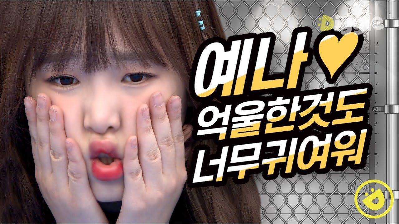 [#호구들의감빵생활] 연예인들의 연예인, 호빵의 러블리 담당 아이즈원 최예나(IZ*ONE Choi Yena) 모음♥│#디글
