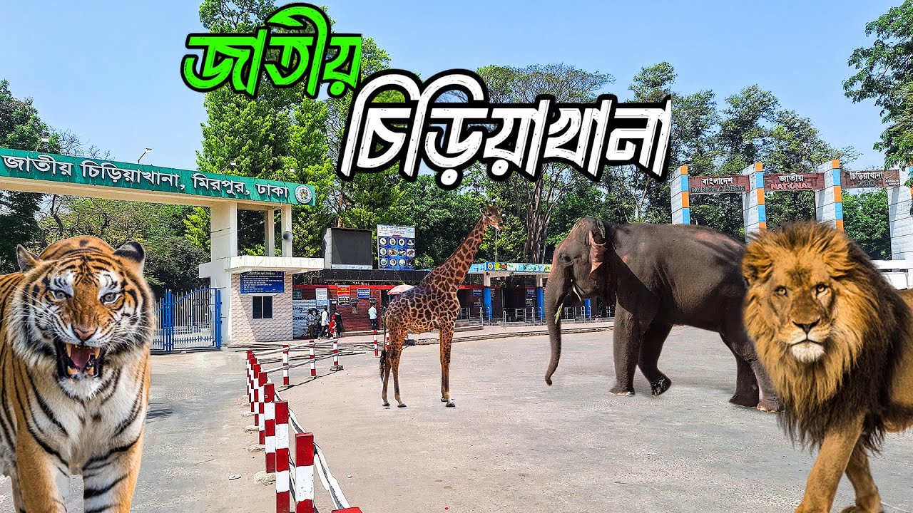 চিড়িয়াখানা ভ্রমণের বিস্তারিত তথ্য এই ভিডিওতে || Bangladesh National Zoo