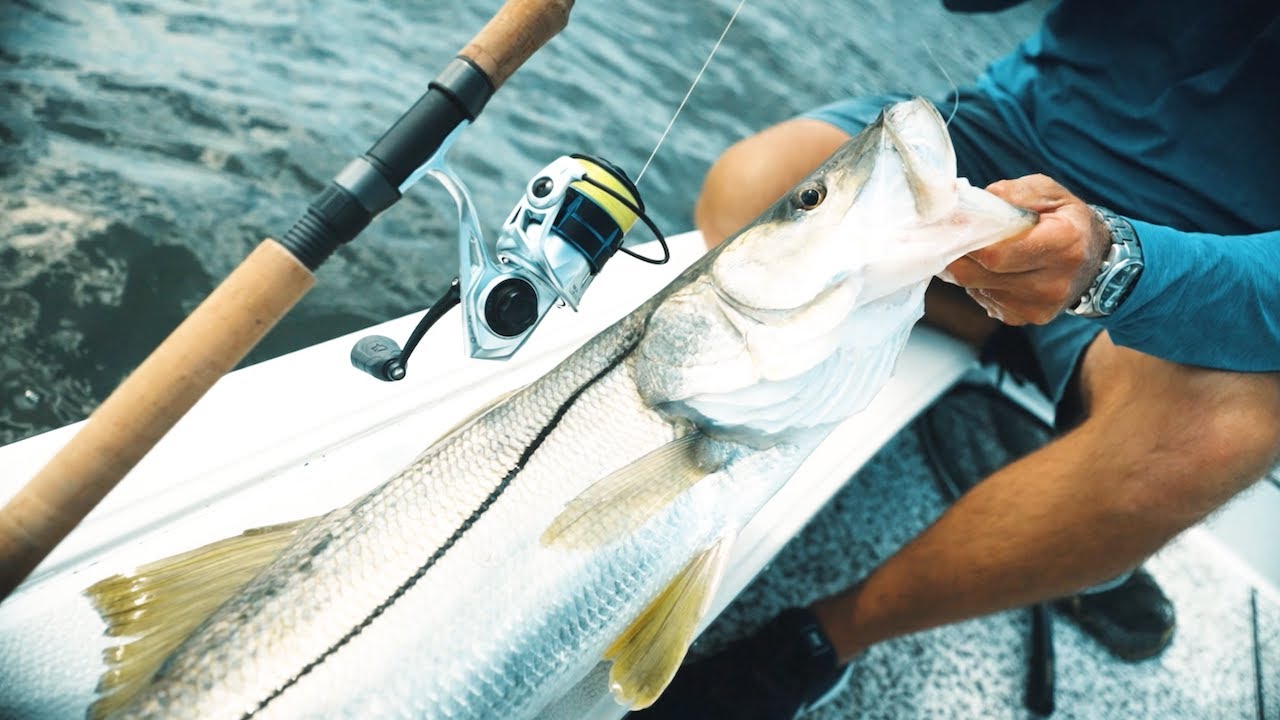 Quantum Strive: A Reel Saltwater Warrior