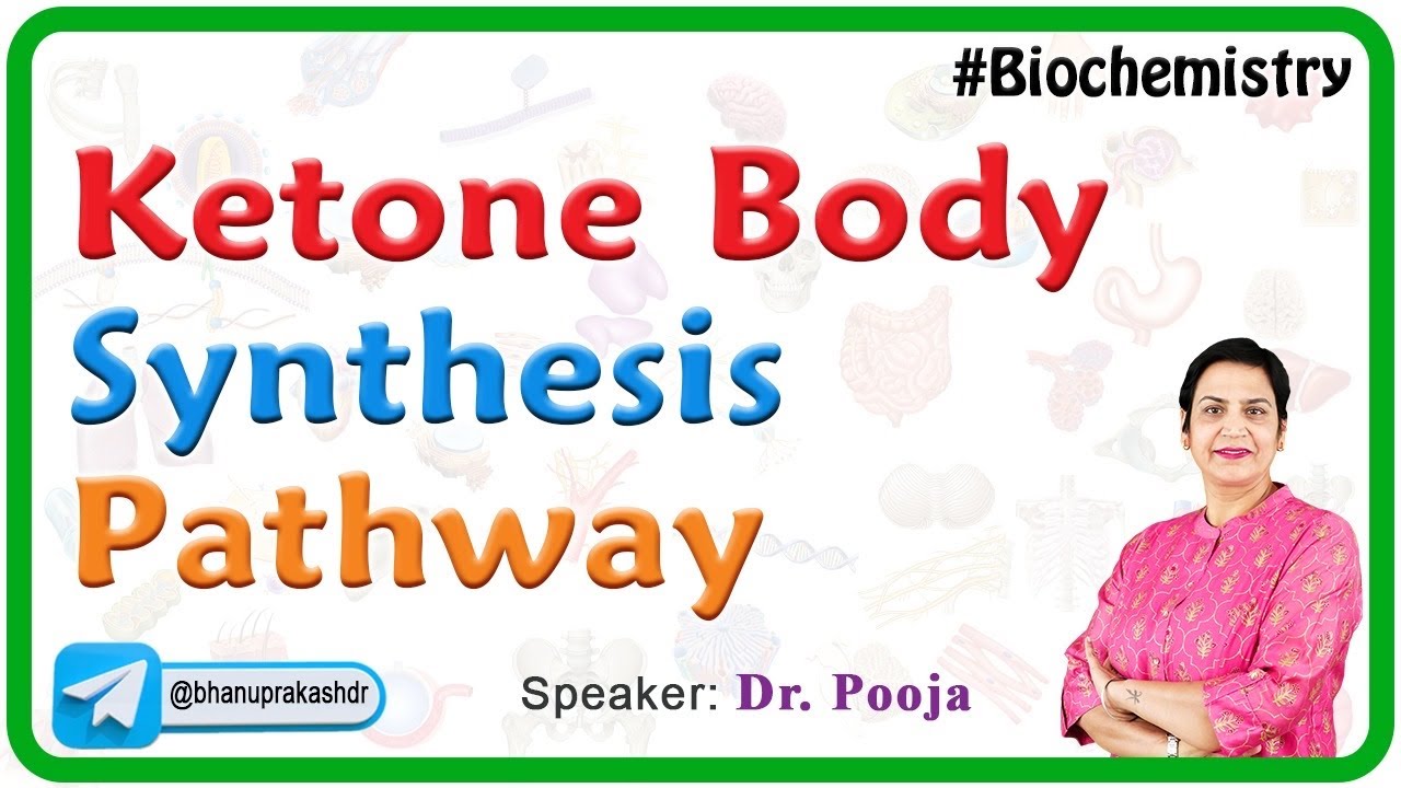 Ketone Body Synthesis Pathway | Ketogenesis | Medical Biochemistry