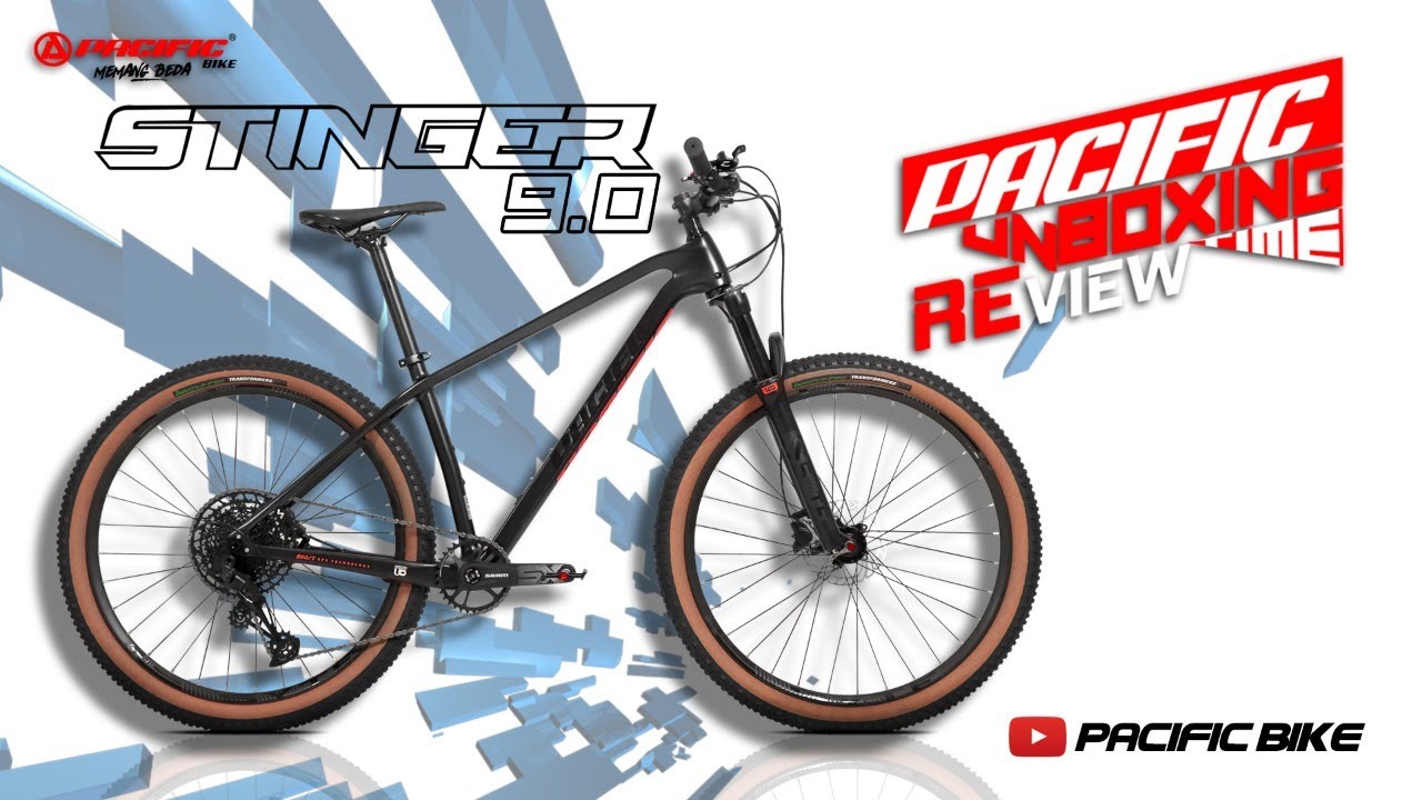 REVIEW MTB STINGER 9.0