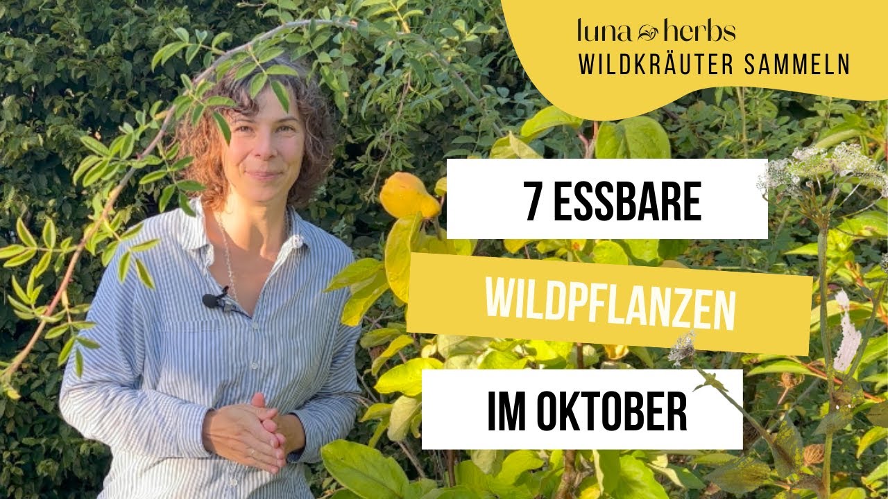 Diese 7 essbare Wildpflanzen solltest du unbedingt im Oktober sammeln