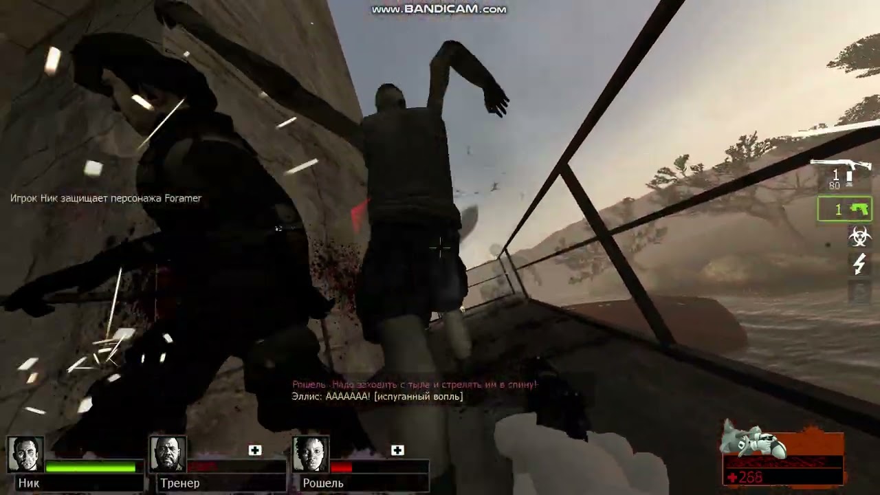 10 февраля 2026 г.