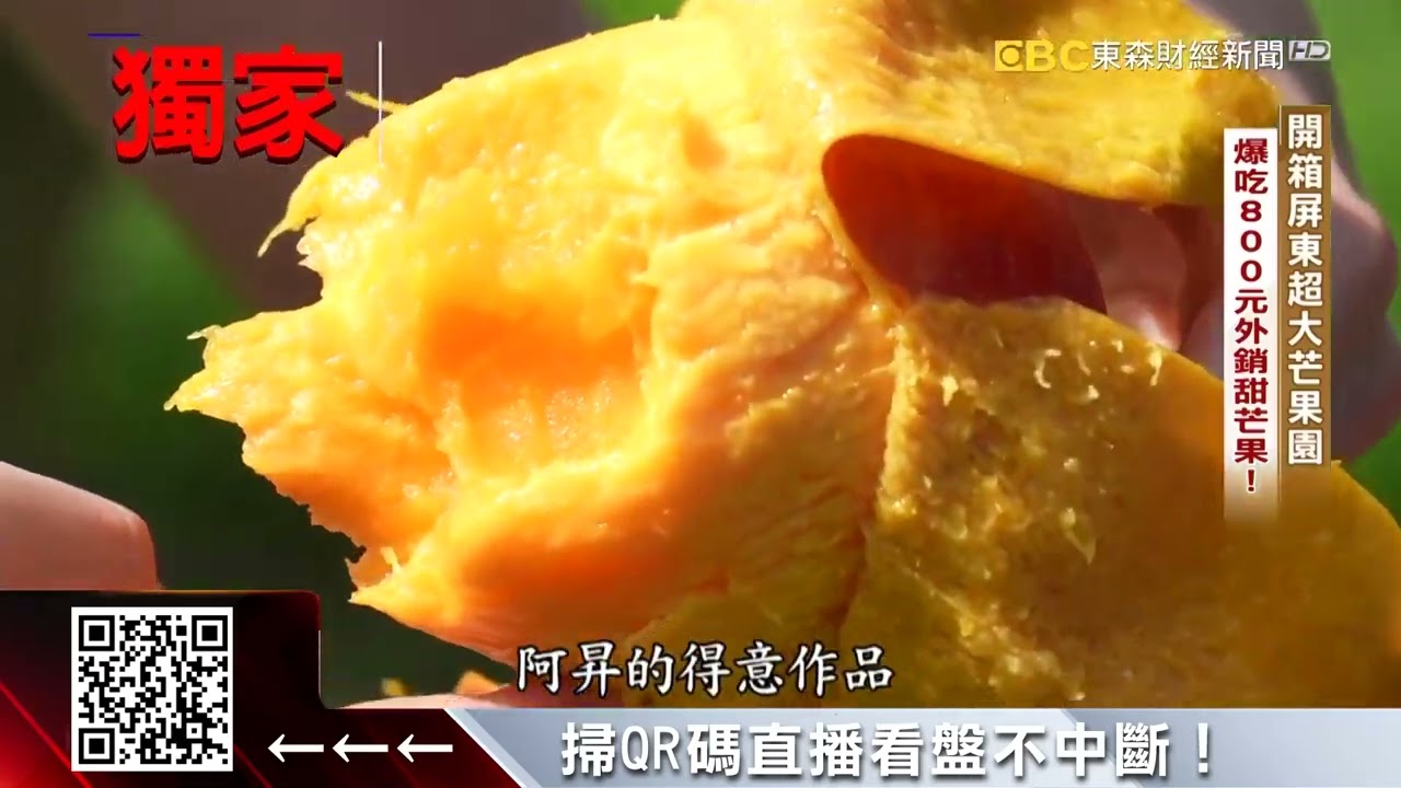 獨家》盛夏芒果正當時！枋山果農狂出1500噸 營收破億 @57ETFN