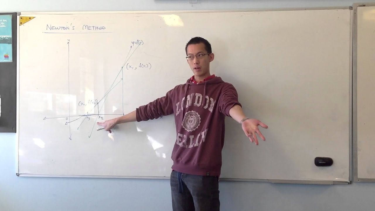 Newton's Method: Theory