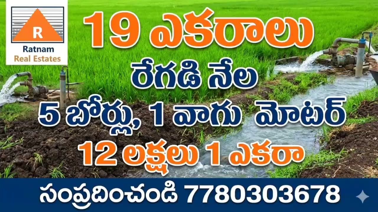 19 ఎకరాల సాగు భూమి అమ్మకానికి.5 బోర్లు. 1 ట్రాన్స్ఫార్మర్ తాళ్లూరు మండలం ప్రకాశం జిల్లా ఏపీ