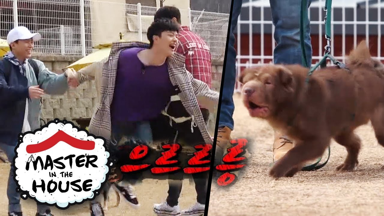 Is Yook Seong Jae Copying Mongle?! His Brakes are Broken [Master in the House Ep 62]