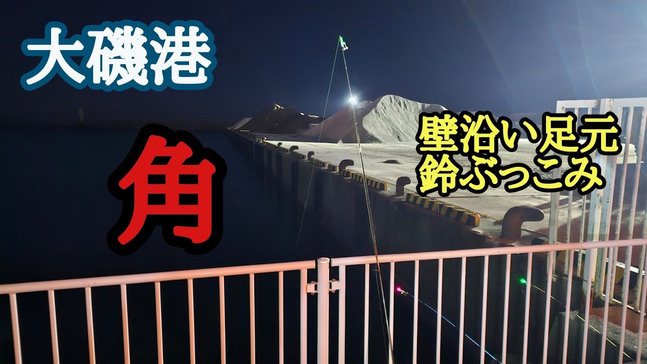 【大磯港】角の壁沿い足元ぶっこみ。鈴をつけて夜釣り