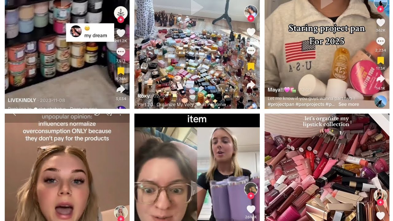 Чрезмерное потребление — безумие в TikTok | Project Pan 2025