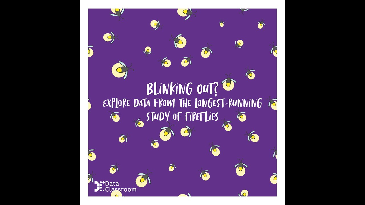 Blinking Out? Explore data from the longest-running study of fireflies known to science