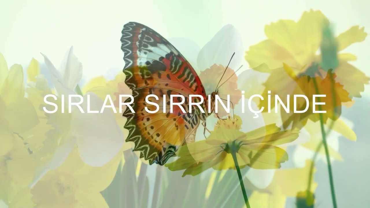 Sırlar Sırrın İçinde | Muhammed Sadık İzol #islamicvideo #allah #love #motivation #art #poetry #ai