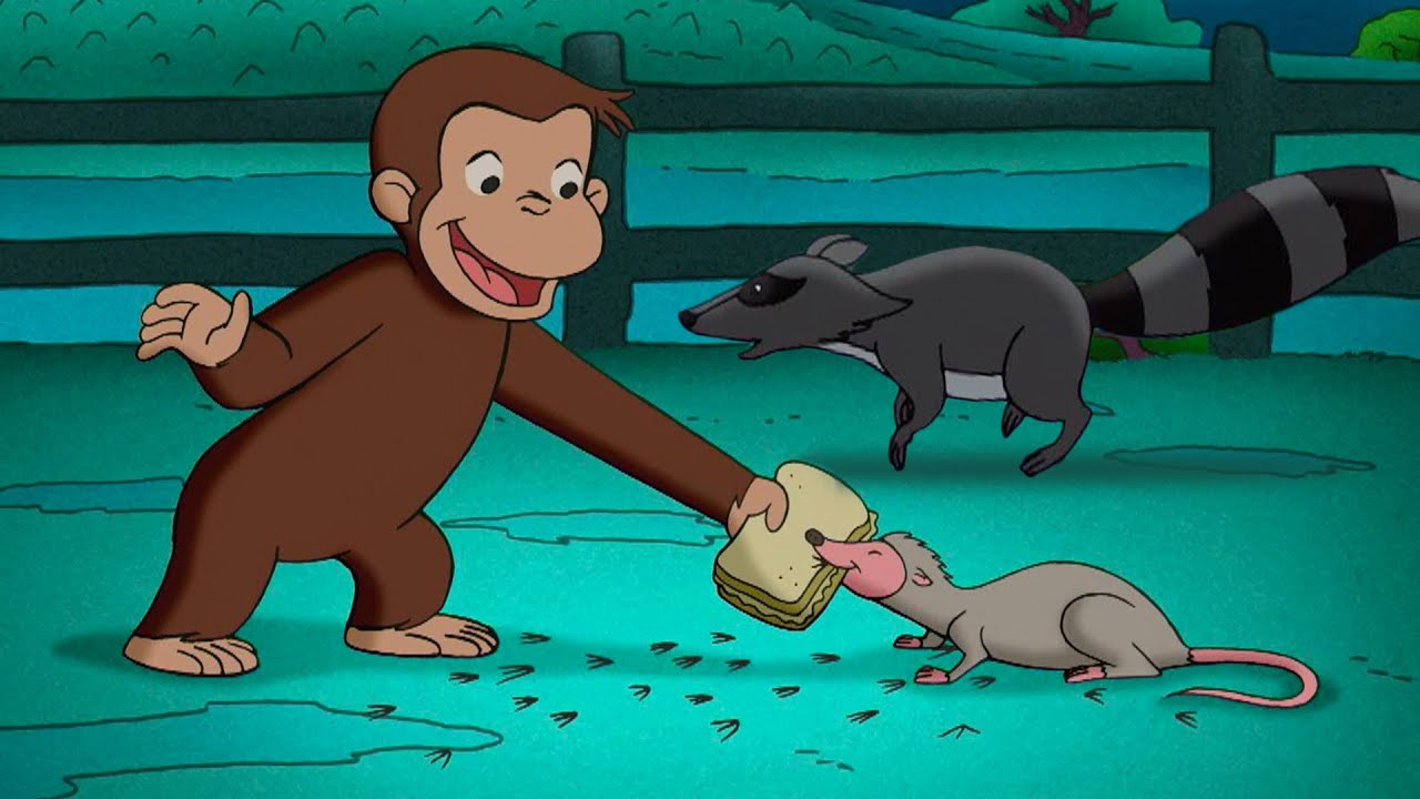 Los nuevos animales nocturnos de Jorge | Jorge El Curioso En Español