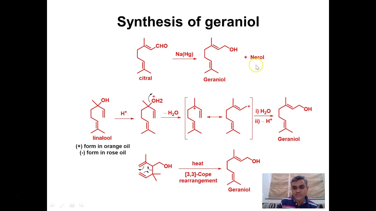 Lecture 3 Geraniol
