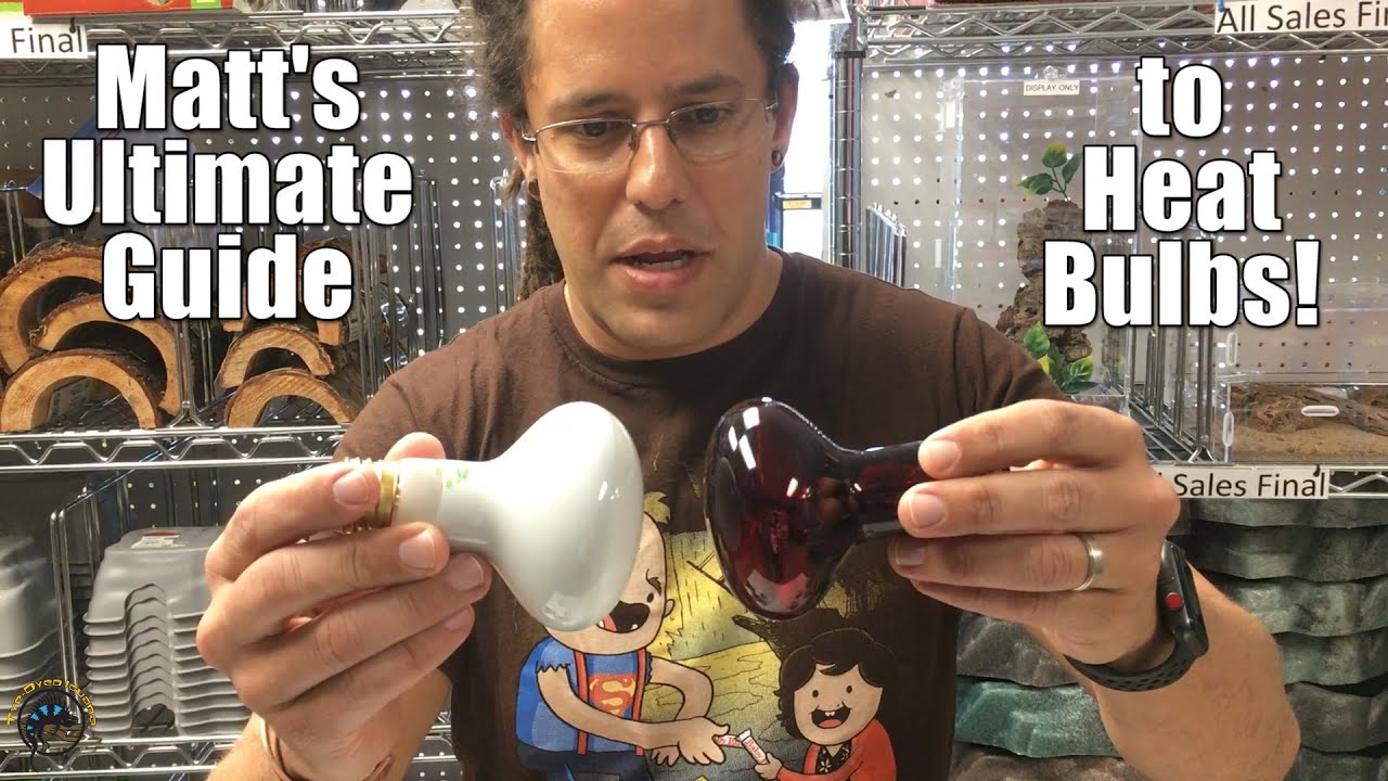 How to Choose the Right Heat Bulb for Your Pet Reptile! 🌞💡