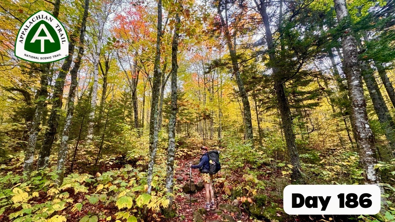 День 186 — ещё больше великолепных осенних красок! 🍁 | Поход по Аппалачской тропе 2024