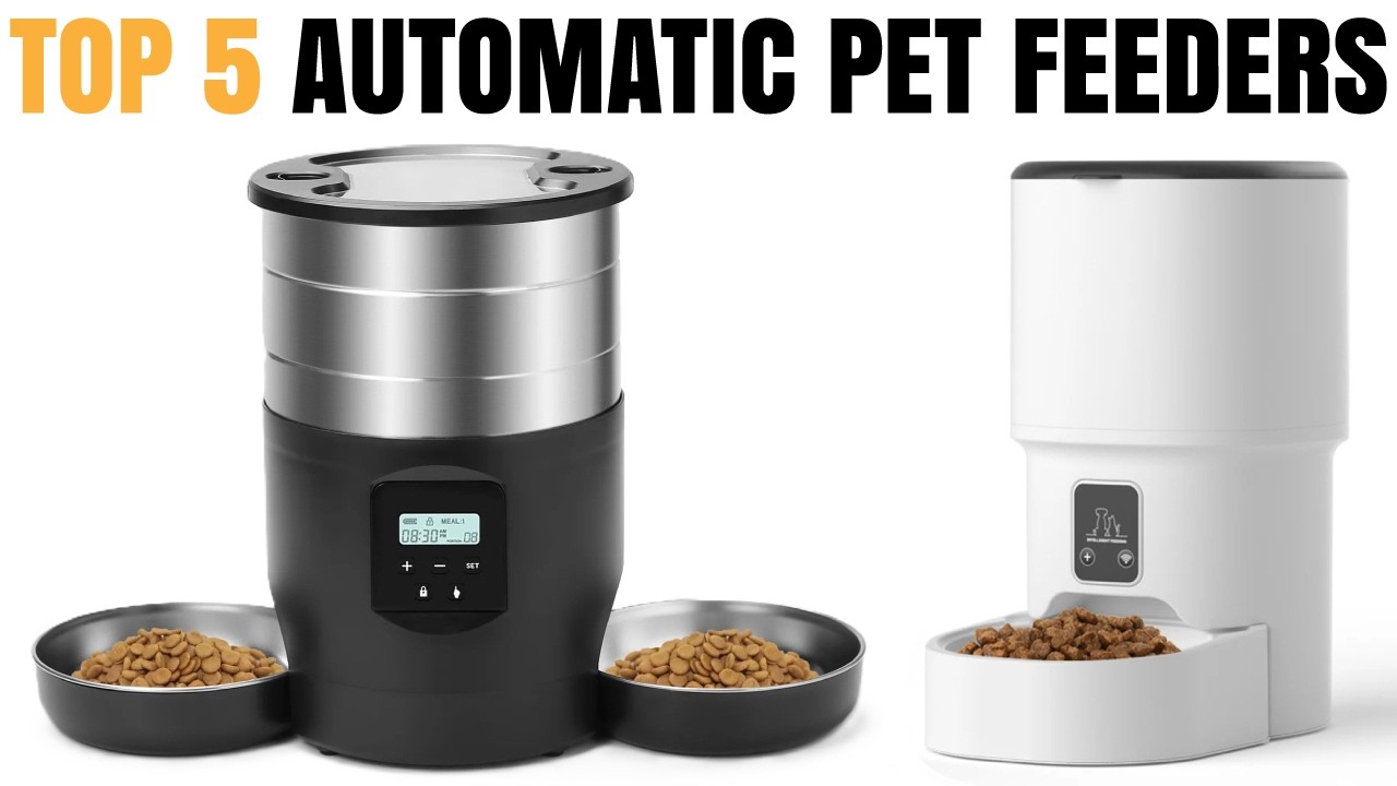 Top 5 Best Automatic Pet Feeder 2026 - Automatic Pet Feeder Reviews 2026