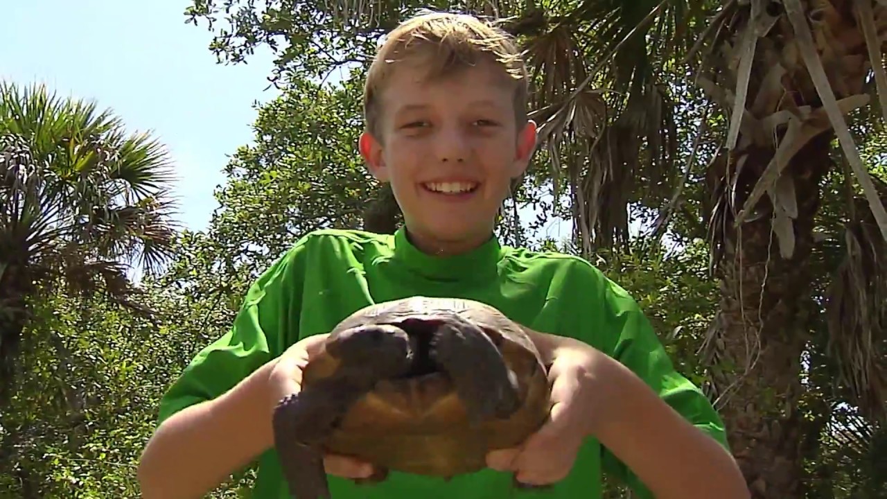 Curious Kids: It's Earth Day!