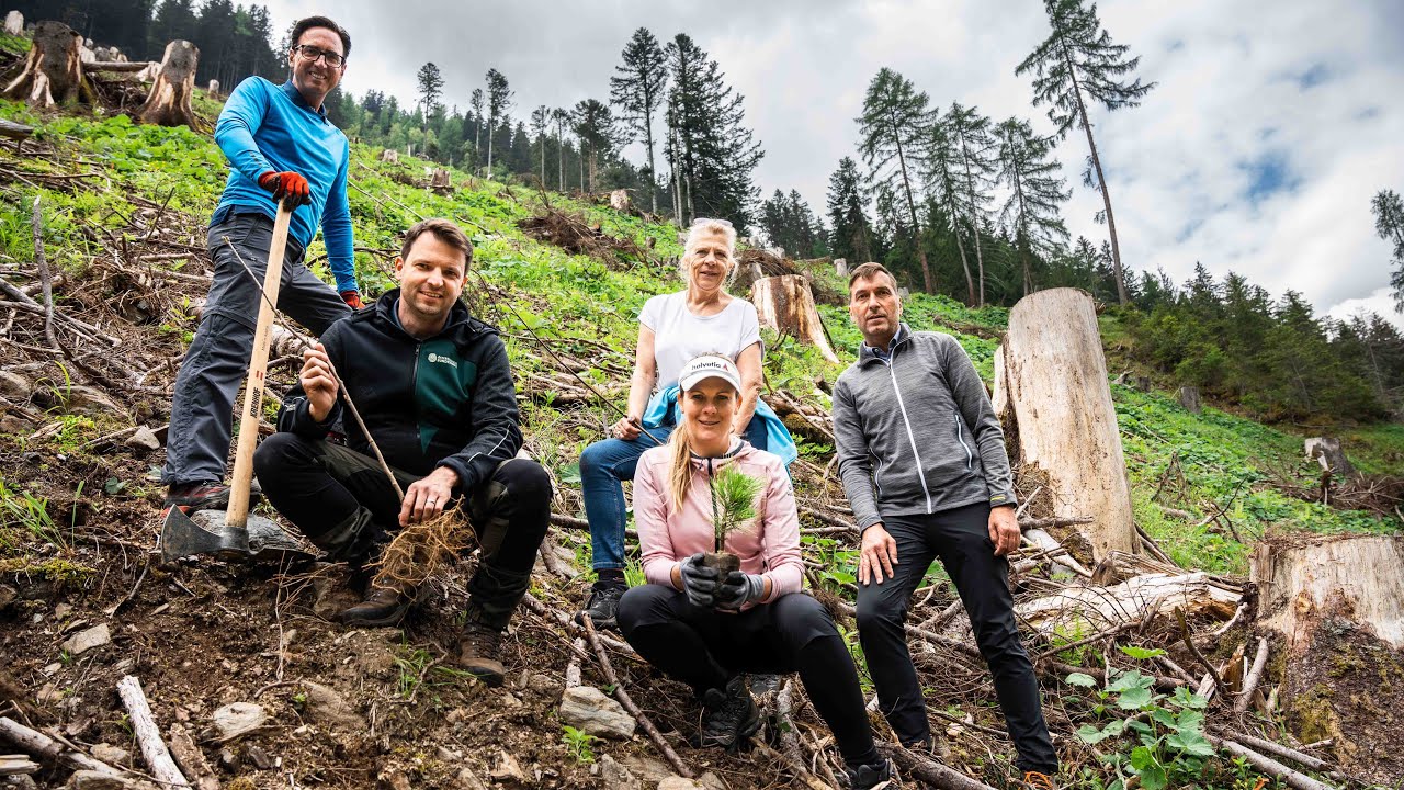 10 Jahre Helvetia Schutzwald-Engagement und 35.000 Jungbäume für Kärntner Mölltal