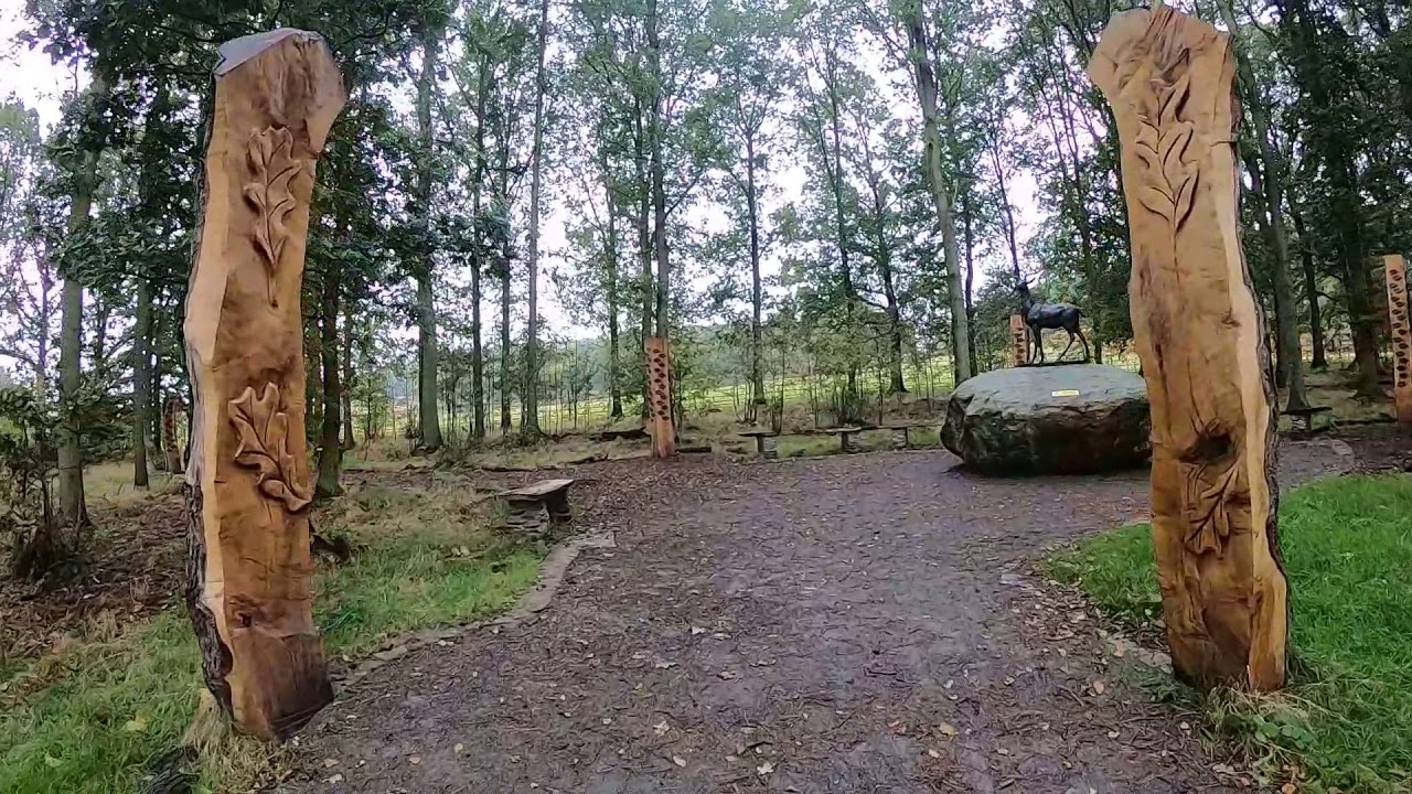 Wheelchair & Accessible Walks Bradgate Park Leicestershire