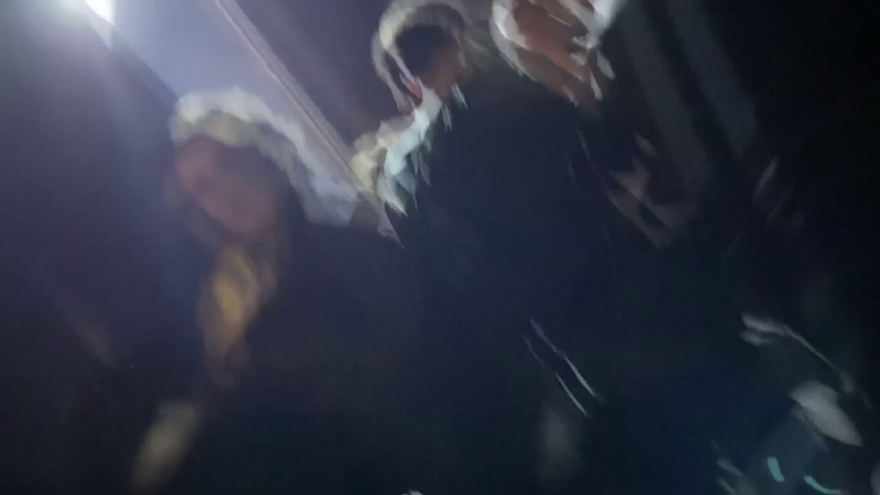 NYE Bristol Free Party 2020 (POLICE)