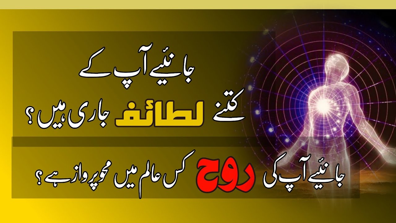 What are Lataif-e-sitta | ktne lataif zikr kr rhe hen | Lataif aur Rooh ka taliq  | اردو | हिन्दी