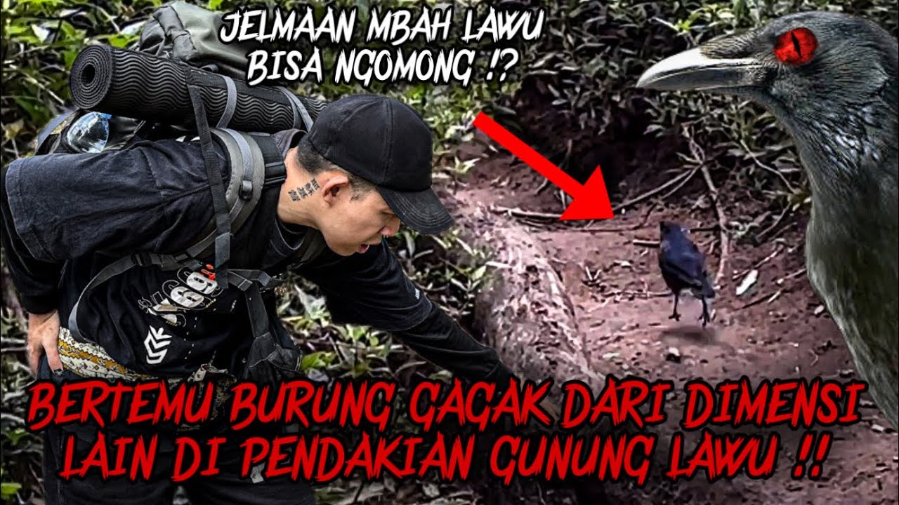 BERTEMU GAGAK GAIB DI GUNUNG LAWU !! CAMPING HORROR DI JALUR PENDAKIAN GUNUNG LAWU !!