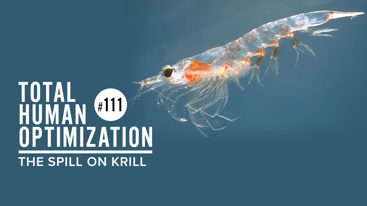 #111 The Spill on Krill | Total Human Optimization Podcast