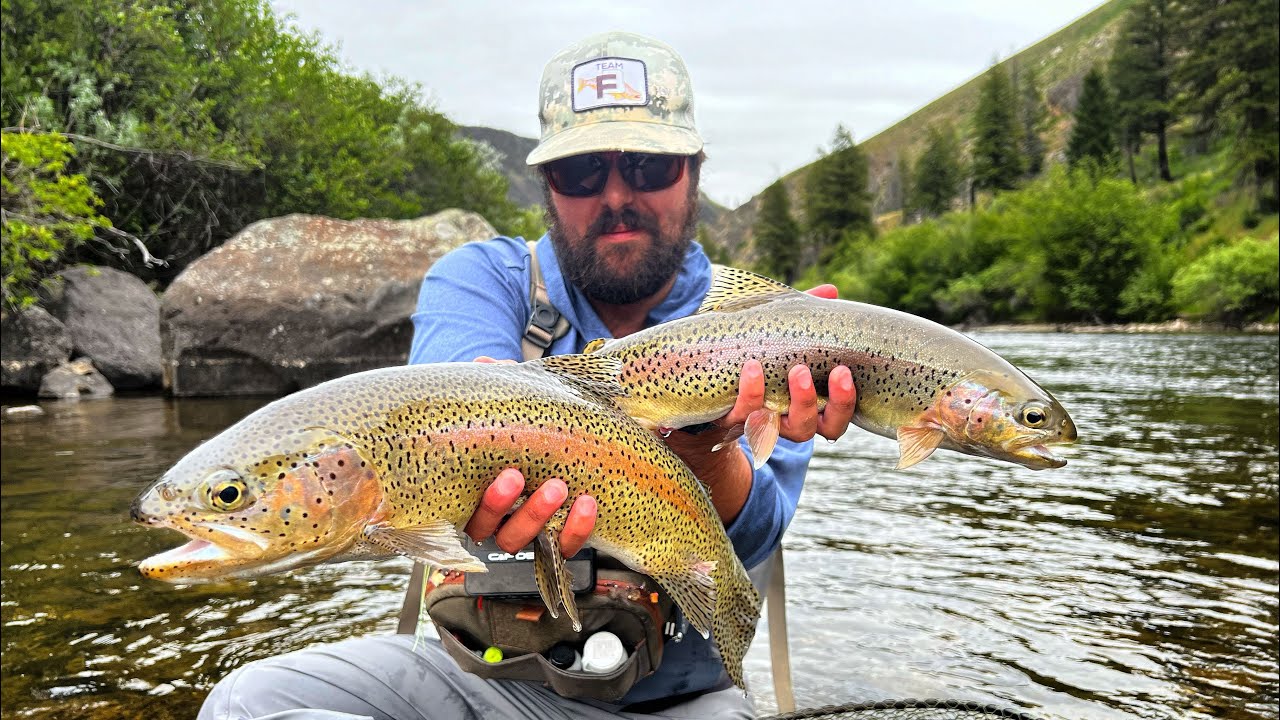 Fly fishing Idaho salmonfly hatch