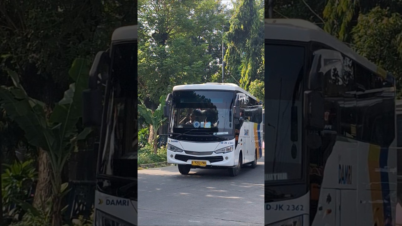 naik bus damri kecil #bus #busmania #telolet #basuri #damri #bandara