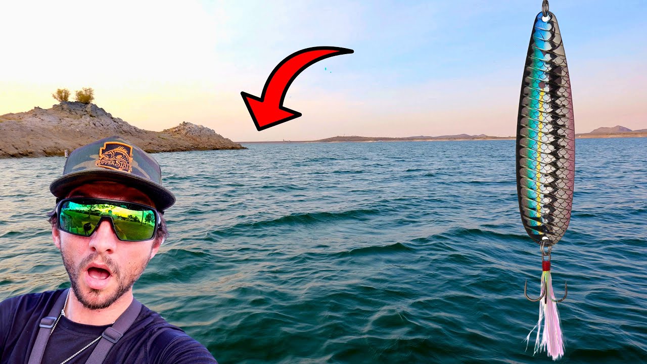 Was I able to Catch BIG Fish on This BIG Bait?!