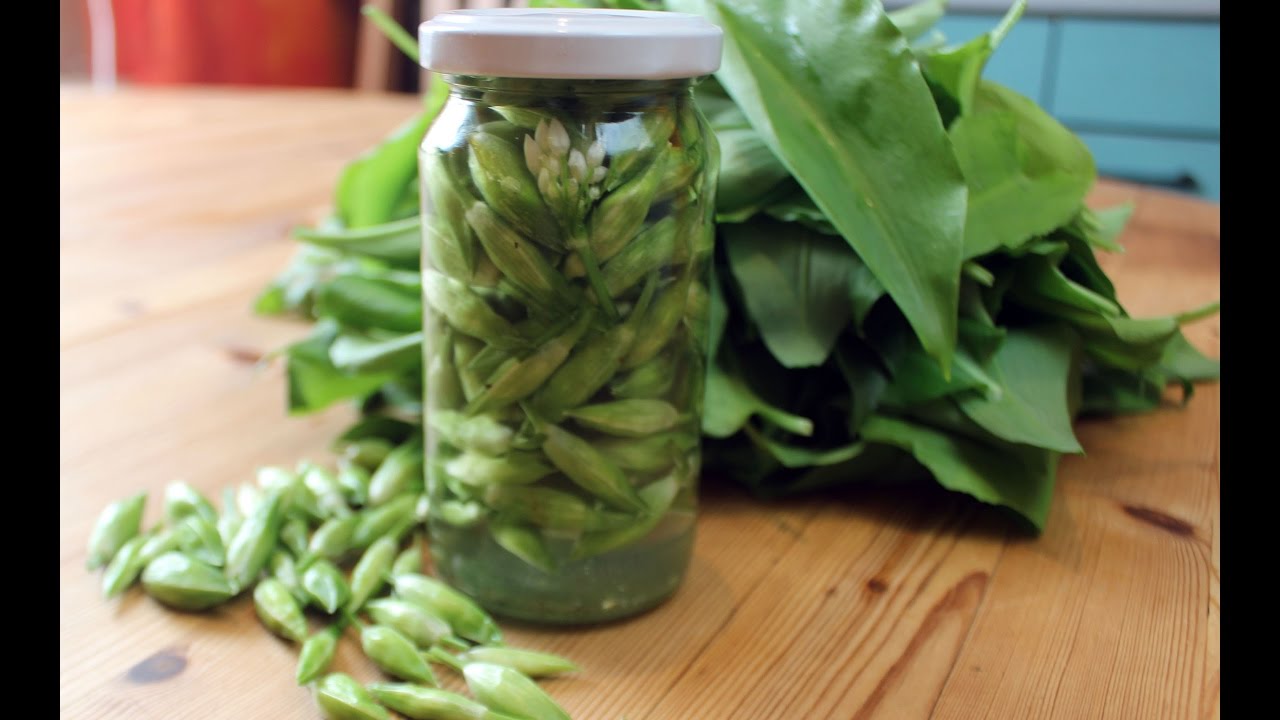 Bärlauch Knospen einlegen