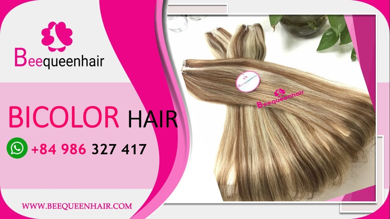 VIRGIN HAIR BI COLOR | Beequeenhair review | Vietnamese hair
