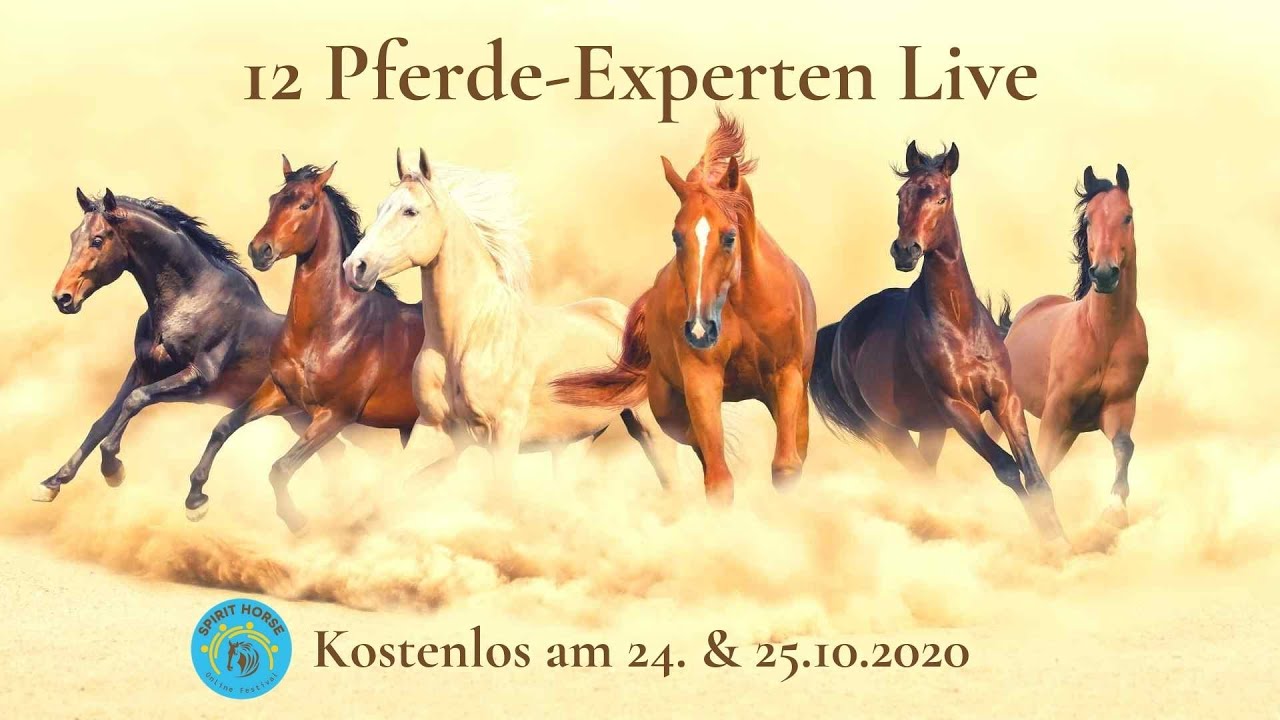 12 Pferde-Experten Live - kostenlos am 24. & 25.10.20