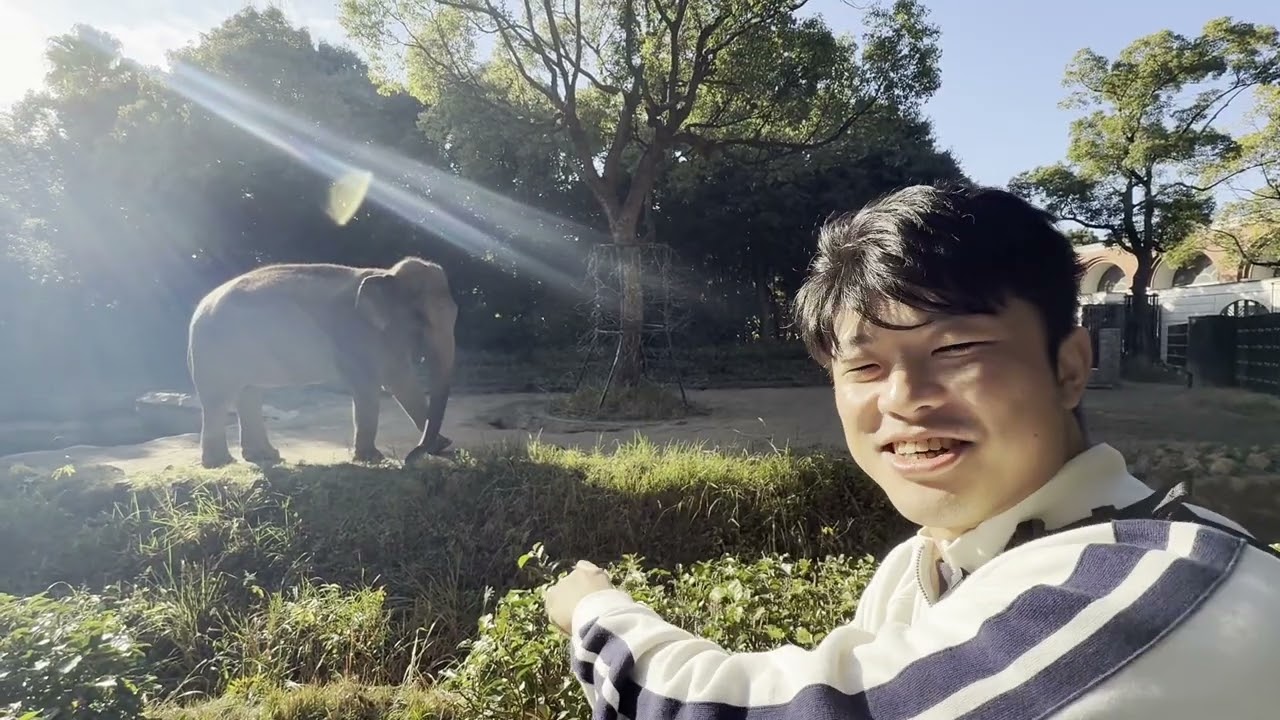 31歳だし、秋の昼下がりは動物園で散歩でもしようよ
